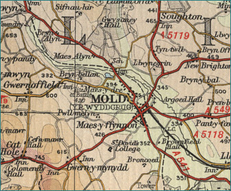 Mold Map